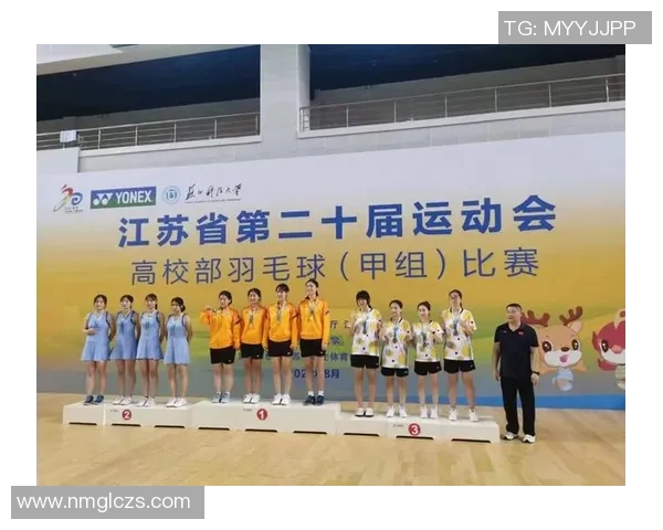 南京羽毛球队在锦标赛中的战术表现分析与点评探讨