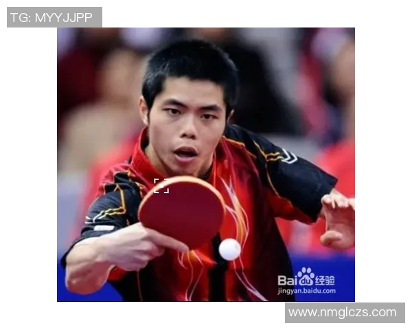 杭州乒乓球队荣登全国速度排行榜第一名的辉煌成就揭秘