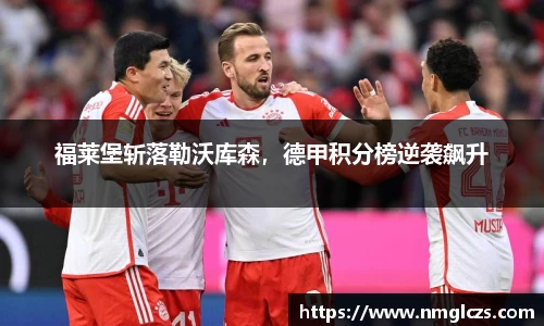 芒果体育官网入口