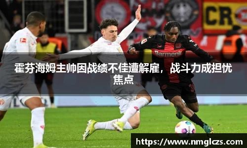 霍芬海姆主帅因战绩不佳遭解雇，战斗力成担忧焦点