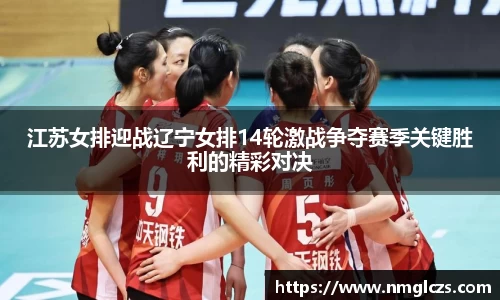 江苏女排迎战辽宁女排14轮激战争夺赛季关键胜利的精彩对决